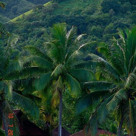 Tauhanihani Village Lodge La Vague Bleue Teahupoo Exterior foto